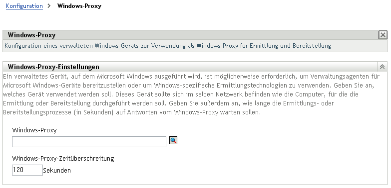 Seite "Windows-Proxy-Einstellungen"