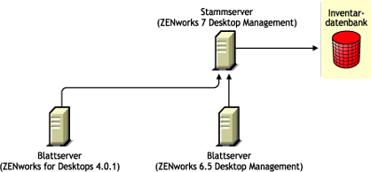 ZENworks for Desktops 4.0.1-Blattserver und ZENworks 6.5 Desktop Management-Blattserver, die nach der Aktualisierung ein Roll-up der Inventarinformationen auf den ZENworks 7 Desktop Management-Stammserver durchführen.