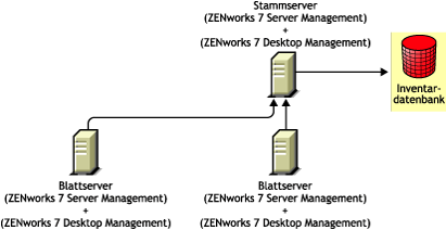 Installieren von ZENworks 7 Desktop Management in einer ZENworks 7 Server Management-Umgebung nach Methode1.