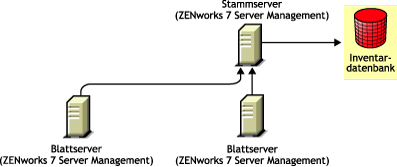 Die ZENworks 7 Server Management-Blattserver führen ein Roll-up der Informationen zum ZENworks 7 Server Management-Stammserver durch.
