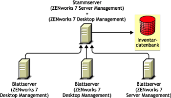 Installieren von ZENworks 7 Server Management in einer ZENworks 7 Desktop Management-Umgebung nach Methode2.