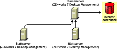 Die ZENworks 7 Desktop Management-Blattserver führen ein Roll-up der Informationen zum ZENworks 7 Desktop Management-Stammserver durch.