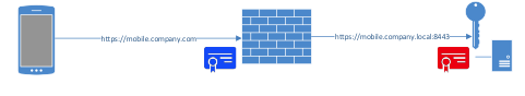 ZENworks Mobile Workspace behind reverse proxy