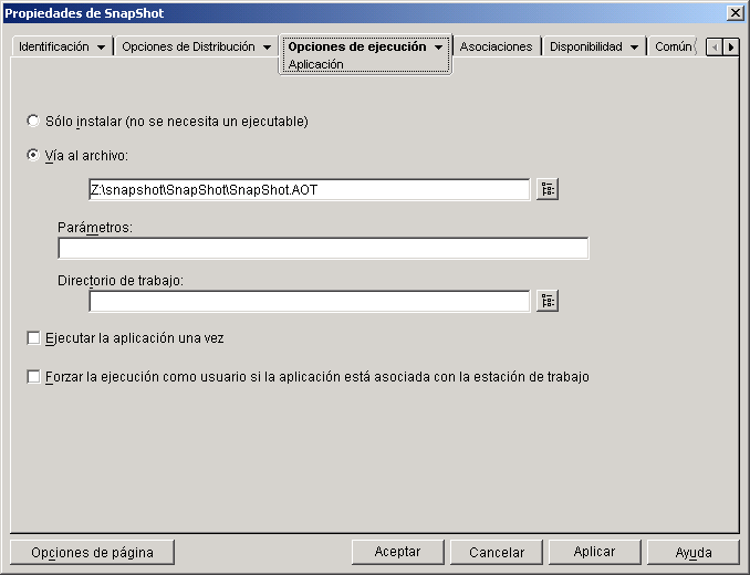 objeto Aplicación > pestaña Opciones de ejecución > página Aplicación