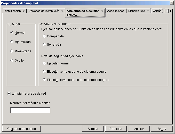 objeto Aplicación > pestaña Opciones de ejecución > página Entorno