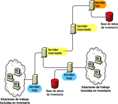Servidor hoja con la base de datos de inventario conectada a él que realiza la transferencia ascendente de la información de inventario al servidor intermedio.