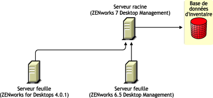 Serveur feuille de ZENworks for Desktops 4.0.1 et serveur feuille de ZENworks 6.5 Desktop Management transférant les informations d'inventaire vers le serveur racine de ZENworks 7 Desktop Management après la mise à niveau.