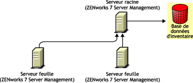 Les serveurs feuille ZENworks 7 Server Management transfèrent vers le serveur racine ZENworks 7 Server Management.