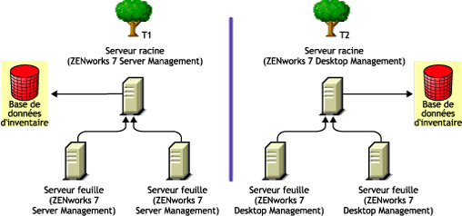 Deux arborescences eDirectory avec les arborescences d'inventaire ZENworks 7 Server Management et ZENworks 7 Desktop Management sur chacune.