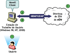 Illustration of the steps involved in the process of authenticating from the Novell Client to Novell eDirectory.
