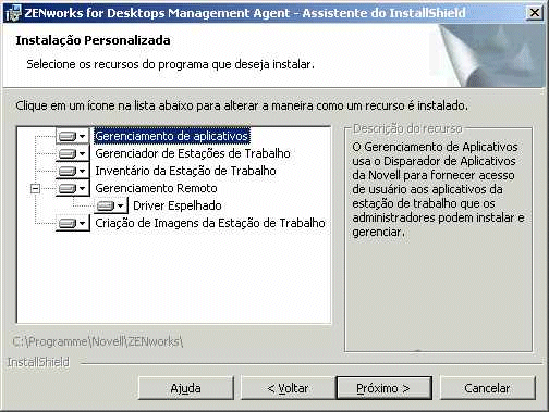 Imagem da tela da caixa de dilogo dos recursos disponveis no programa de instalao do Agente de Gerenciamento do ZfD.