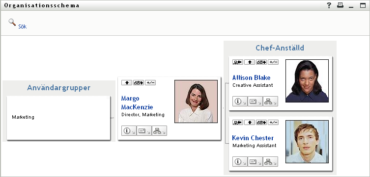 Cecilia expanderar både Chef-anställd- och Användargrupp-vyerna.